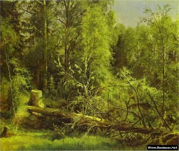 shishkin16