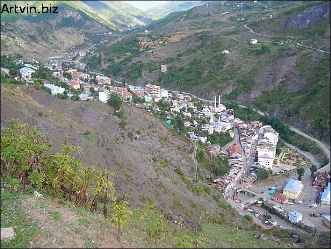 Artvin Murgul