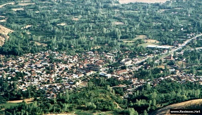 Erzincan Üzümlü