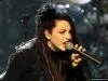 Amy Lee