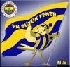 Hareketli Fenerbahce Kanarya