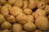 Patates