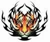 Temporary Tattoo Tribal Tiger Black