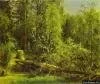 shishkin16