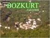 Bozkurt