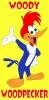 woodywoodpecker